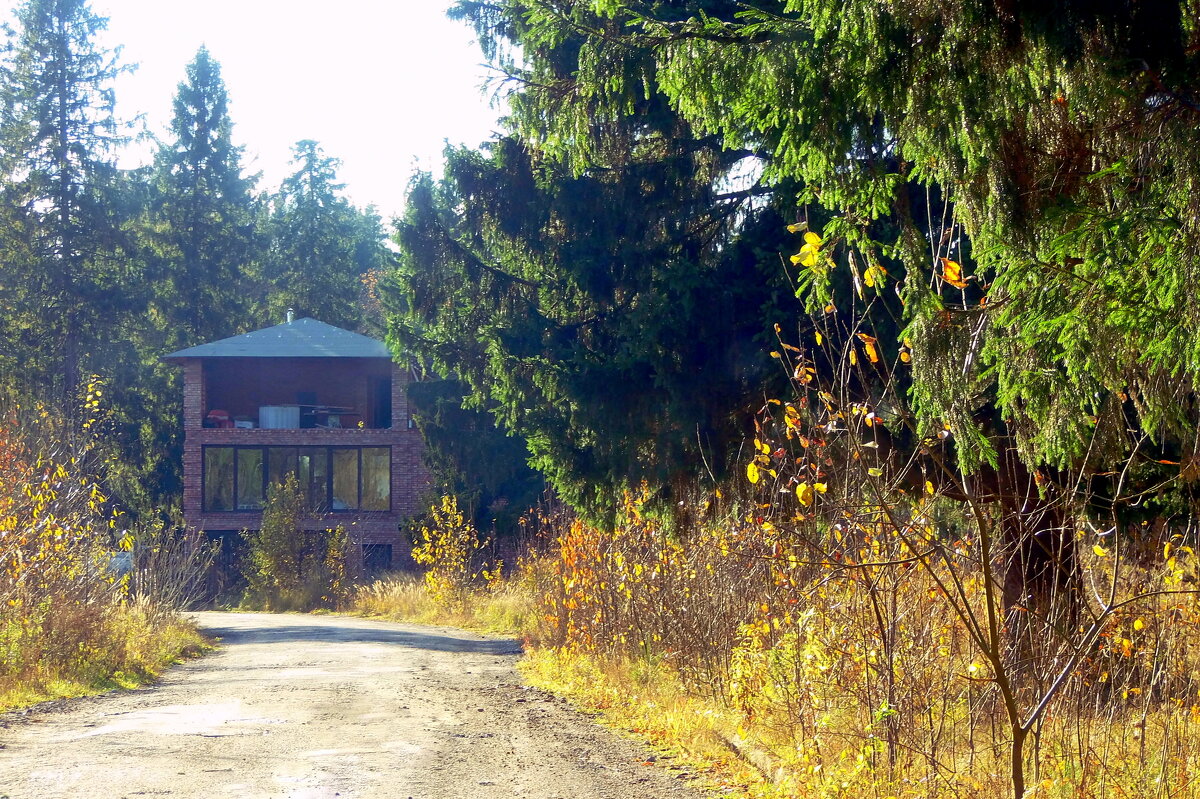Дом в лесу - Елена 