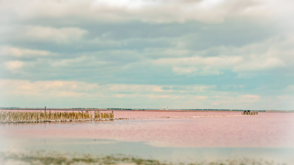 Розовое озеро Сасык-Сиваш - AZ east3