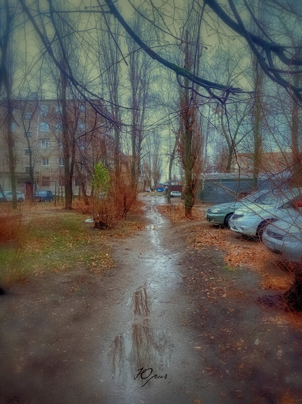 Ноябрьское после дождя - Евгений Юрич