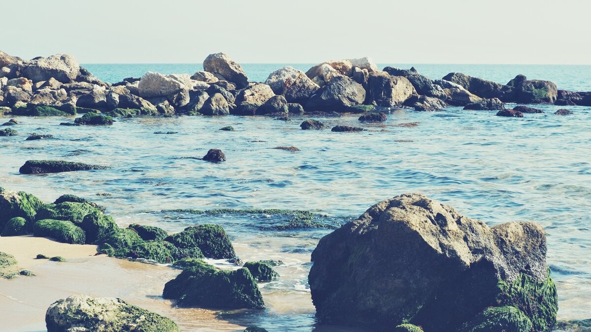 Берег моря - wea *
