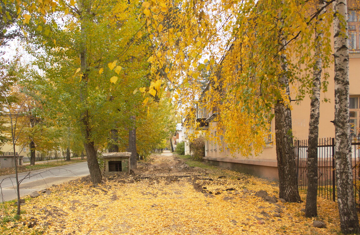 Золотая осень на тихой улице - Лира Цафф