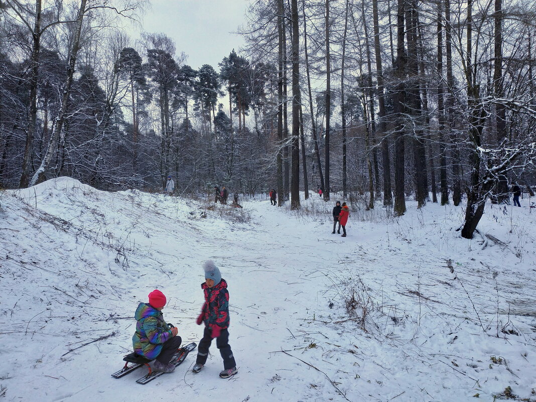 Дети всегда готовы к приходу зимы - Андрей Лукьянов
