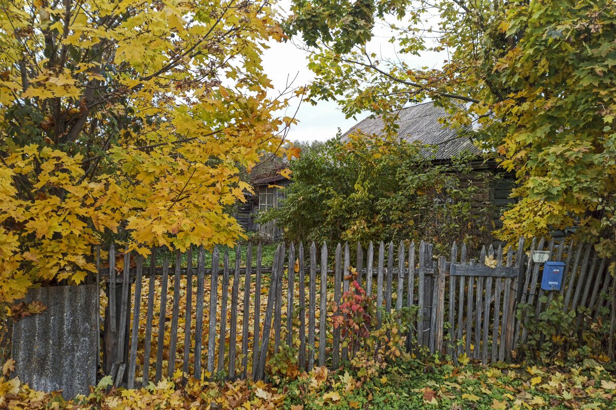 Осень старого дома. - Alexandr Gunin