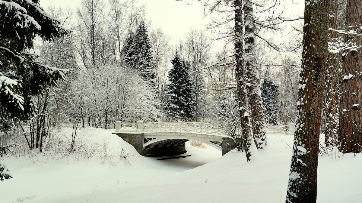 В Александровском парке зимой - 3 = Мосты и мостики - Сергей 