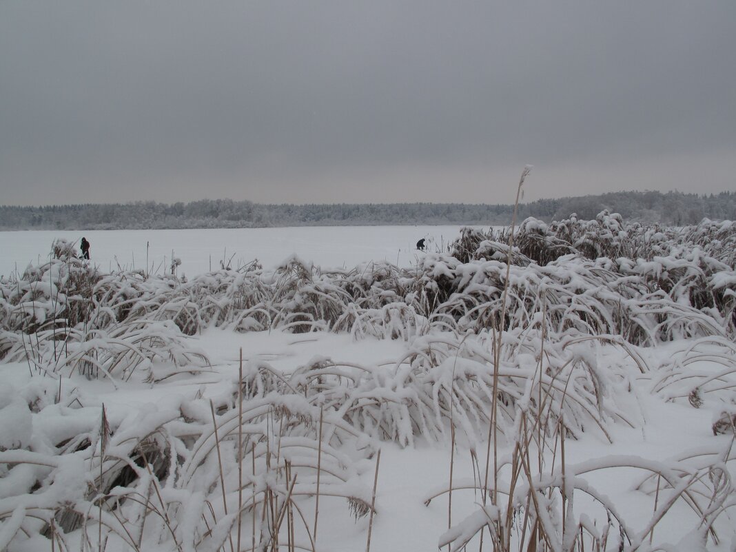 Озеро зимой - Татьяна 