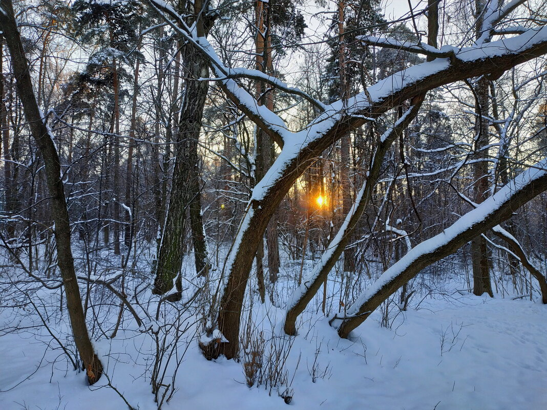 Вот, и пришла настоящая зима - Андрей Лукьянов