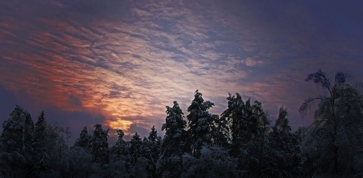 Зимнее утро - Фотолюб *