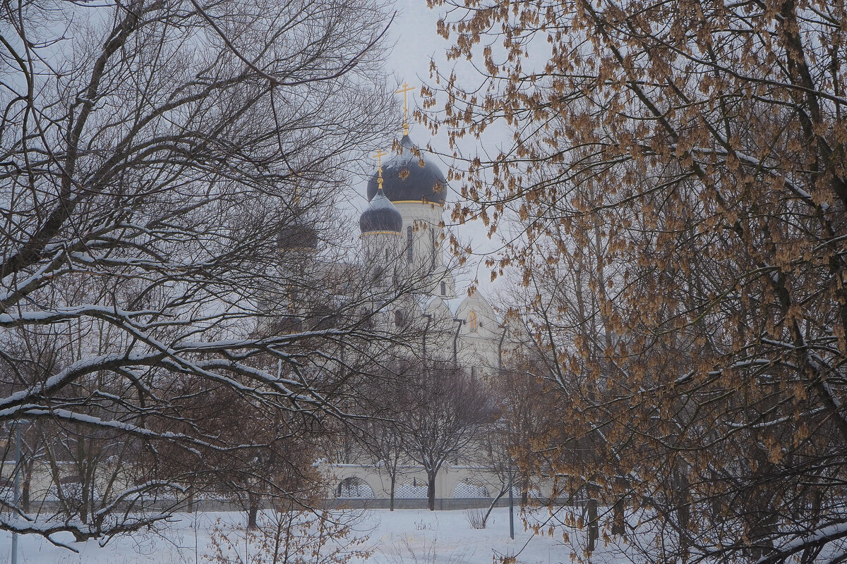 Туман в Городе - юрий поляков