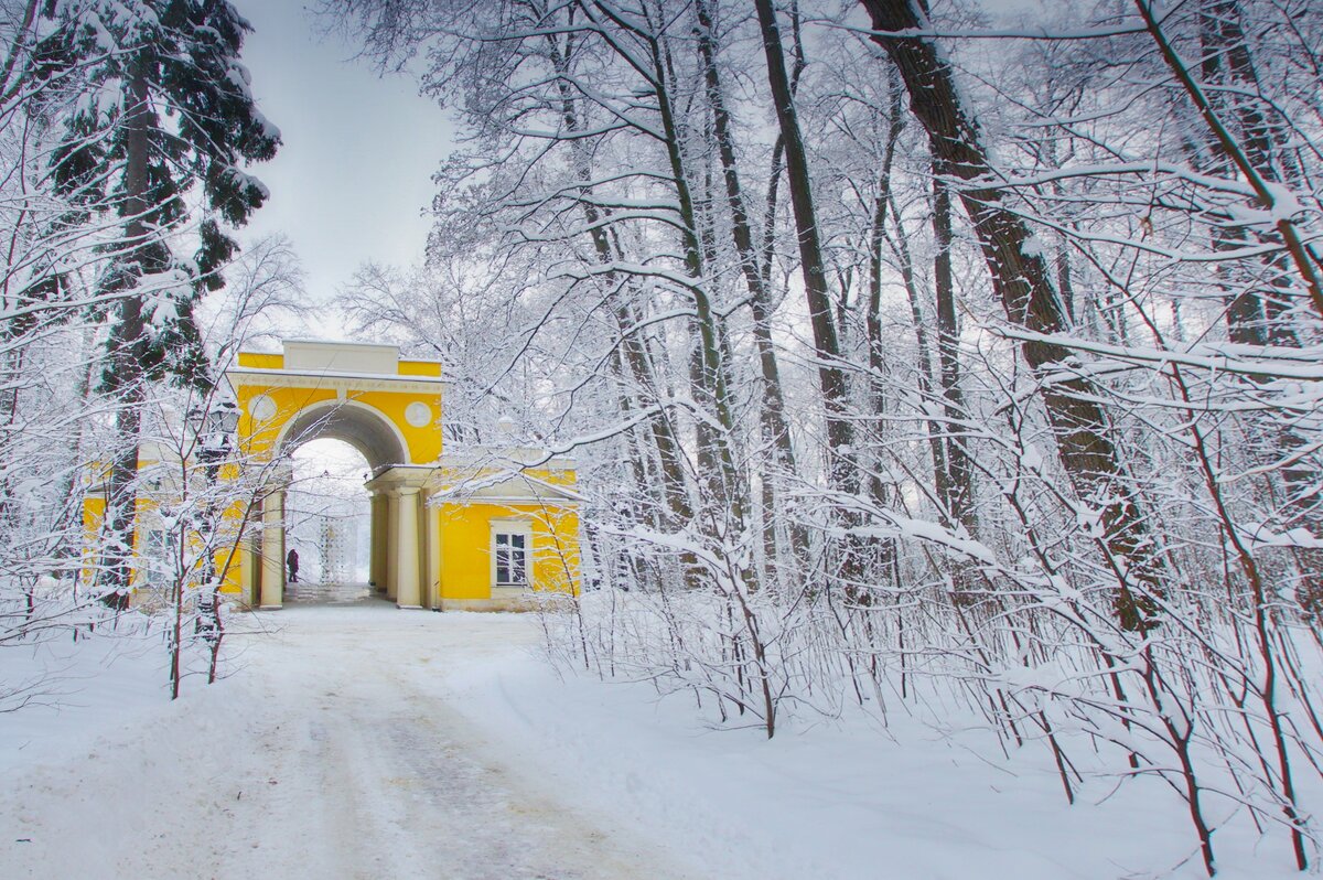 Декабрь в Царицыно - Наталья Лакомова