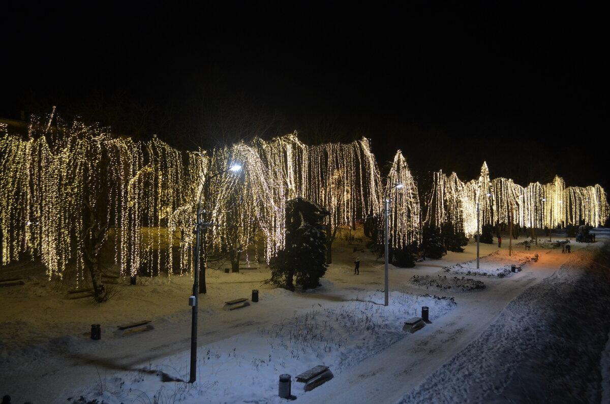 луки парк великие луки зимой