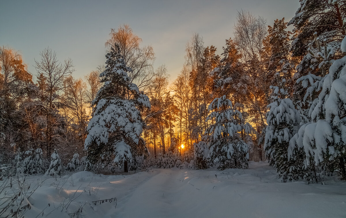 Декабрь, солнце и мороз 05 - Андрей Дворников