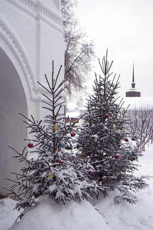 Нарядные елочки накануне Рождества, в Толгском монастыре - Николай Белавин