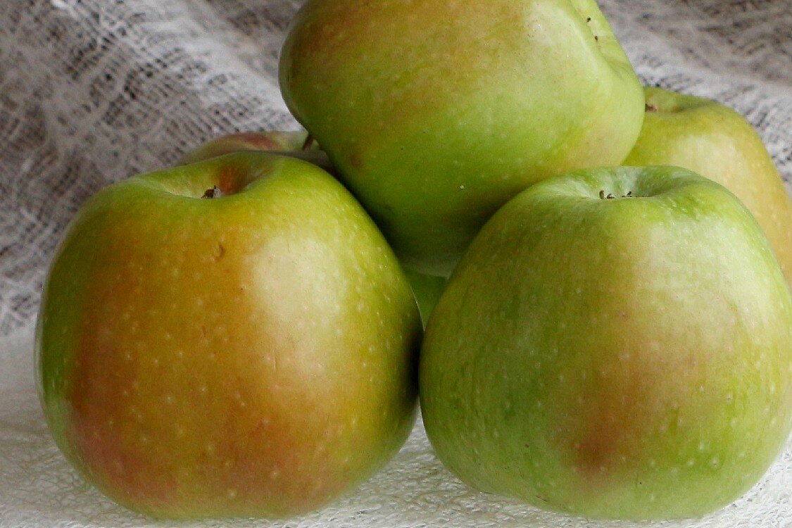 Подрумяненные яблоки сорта Семеренко - Надежд@ Шавенкова
