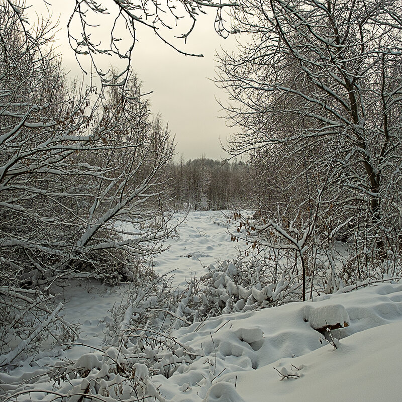 Прогулка с фотокамерой. - Олег Пучков