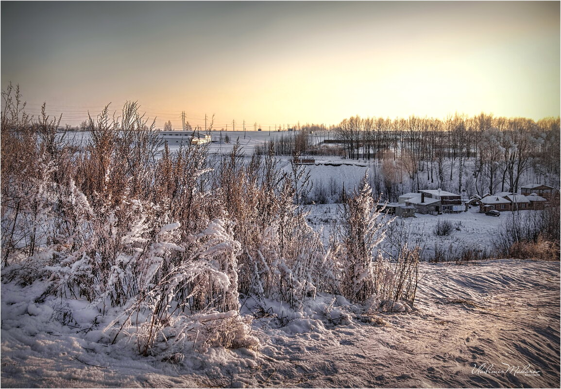 "У тропы в морозный день"© - Владимир Макаров