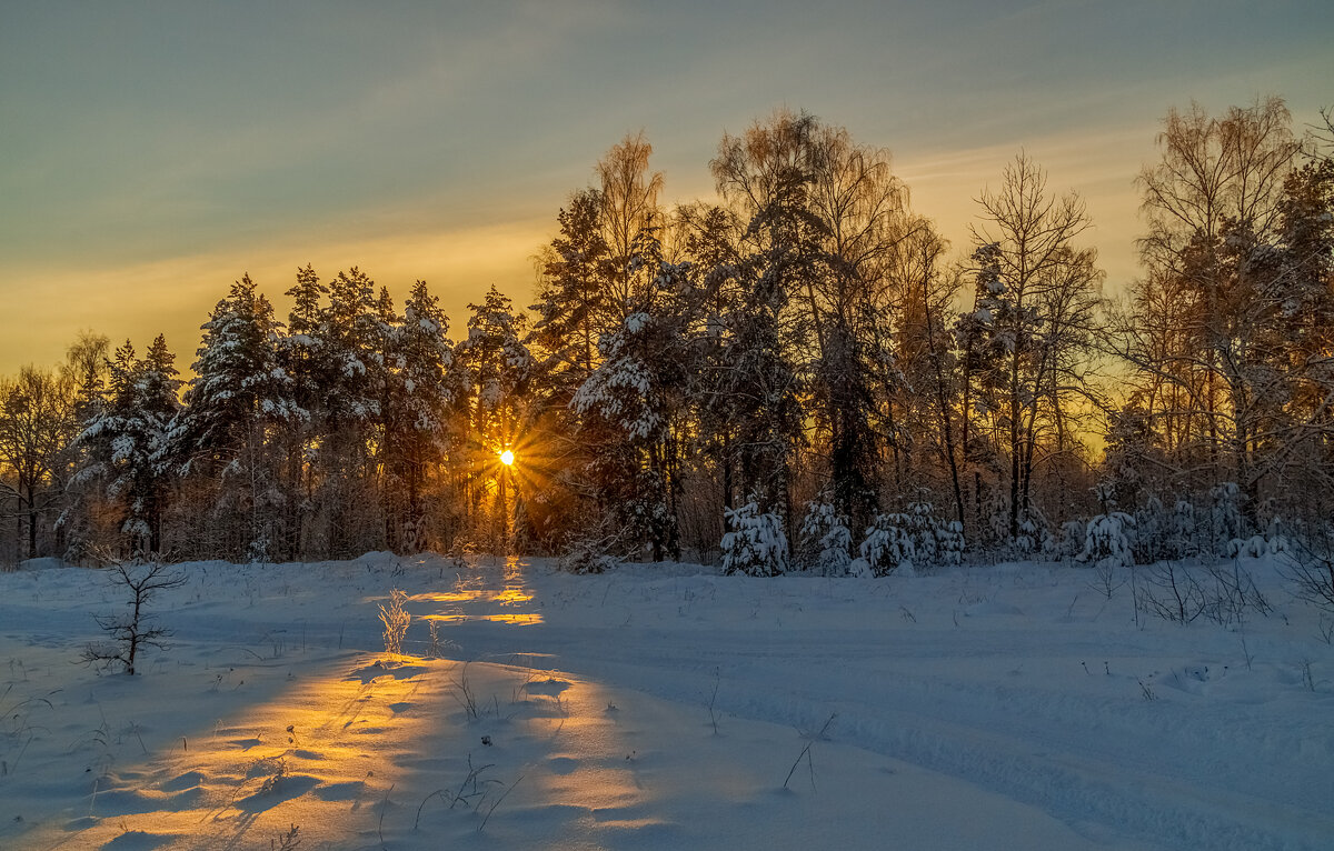 Декабрь, солнце и мороз 12 - Андрей Дворников