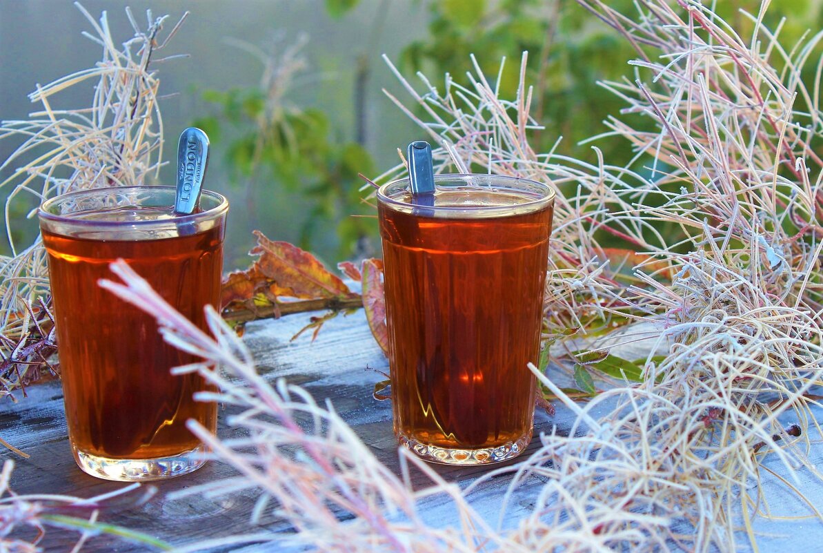 Чай в утренний заморозок - Сергей Чиняев 