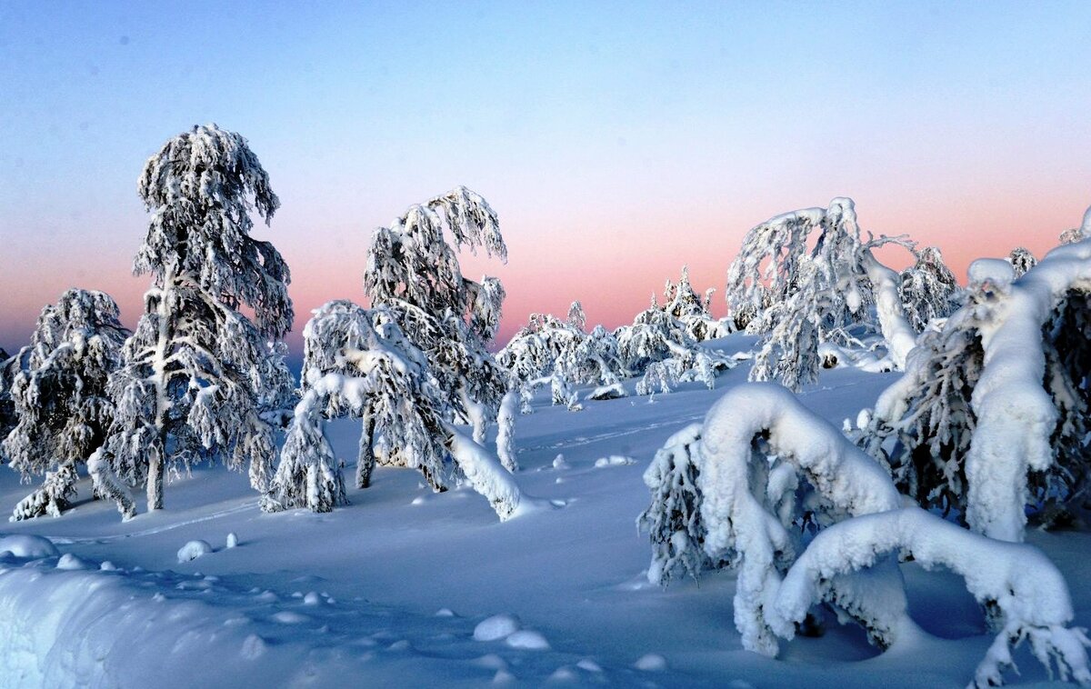 Рассвет в снежной Лапландии. Финляндия - ГЕНРИХ 