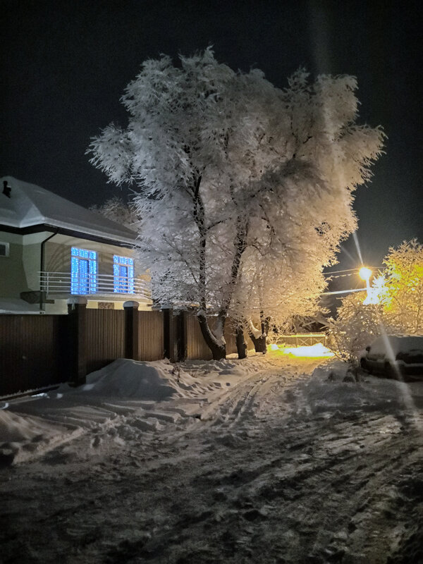 После снегопада в моей вотчине Ромашково... - Юрий Яньков