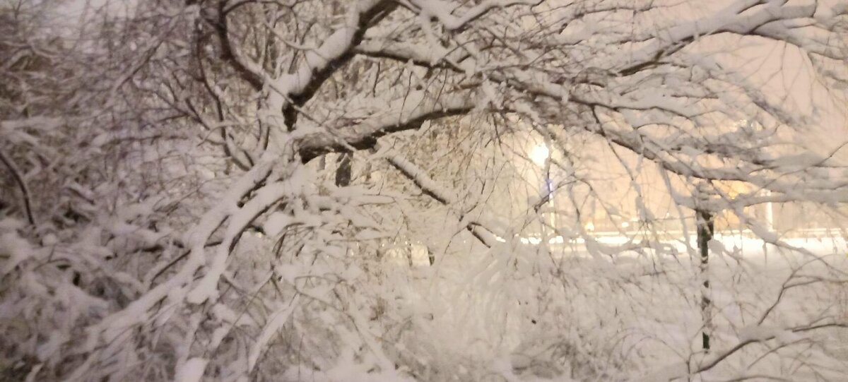 Вот такой сегодня пушистый снег впал - Елена Вишневская