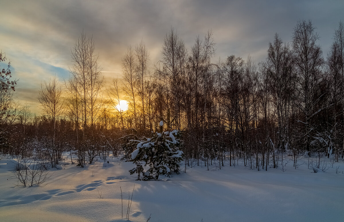 Декабрь, солнце и мороз 07 - Андрей Дворников