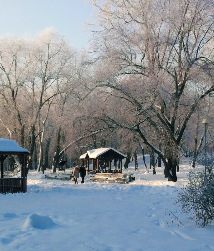 В зимнем парке на речке Городне. - Борис Бутцев