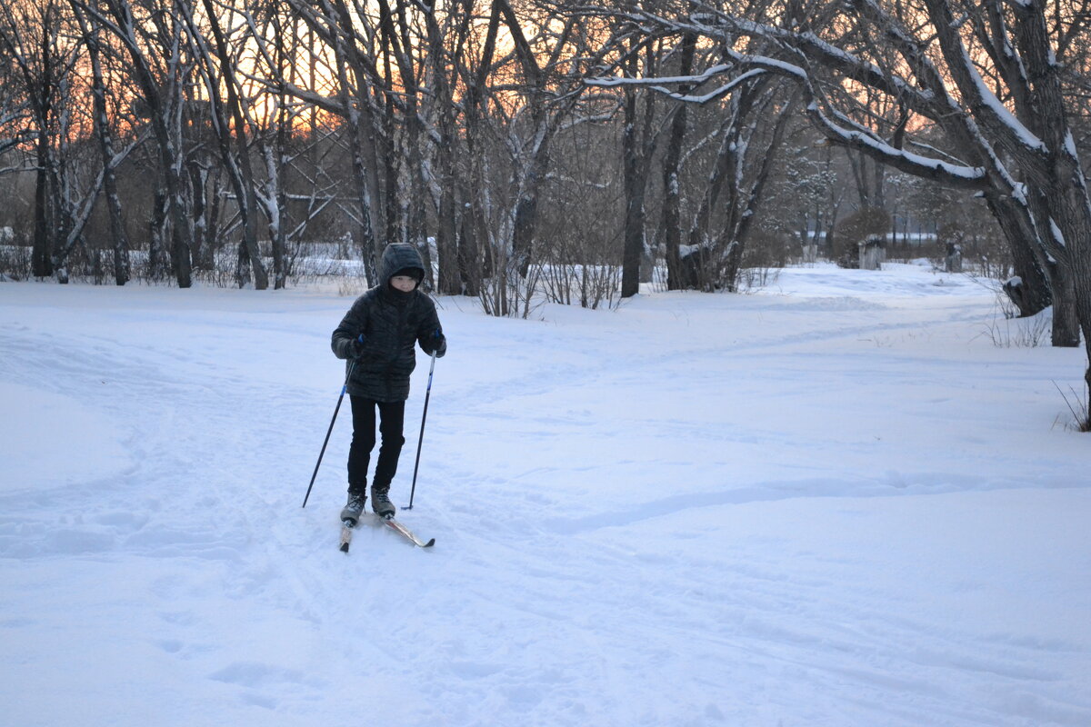 Вечерний лыжник... - Андрей Хлопонин
