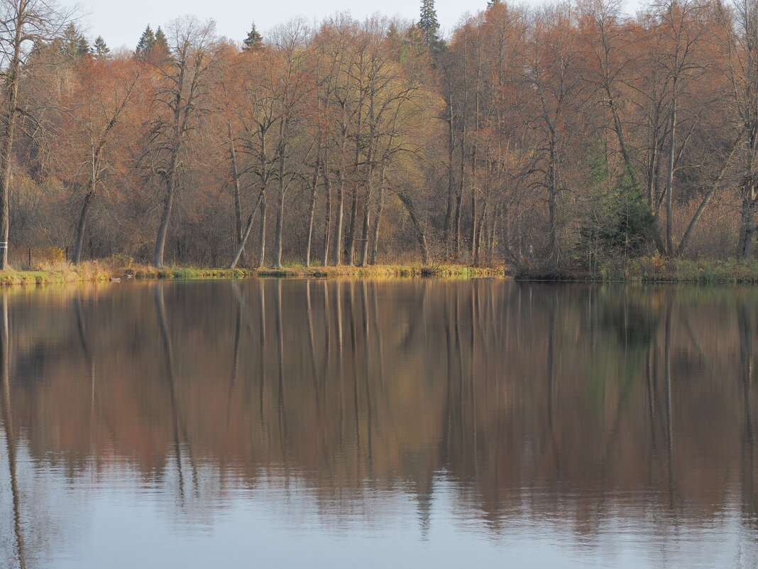 Осенний пейзаж - Евгений Седов