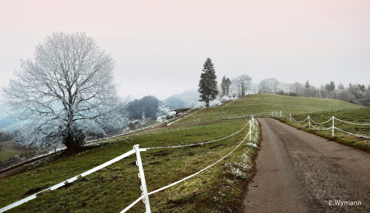 winter view - Elena Wymann