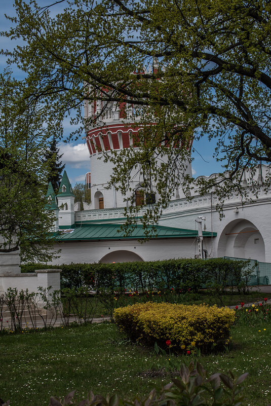 Новодевичий монастырь - Ирина Соловьёва