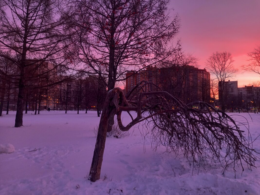 Рассвет - Сапсан 