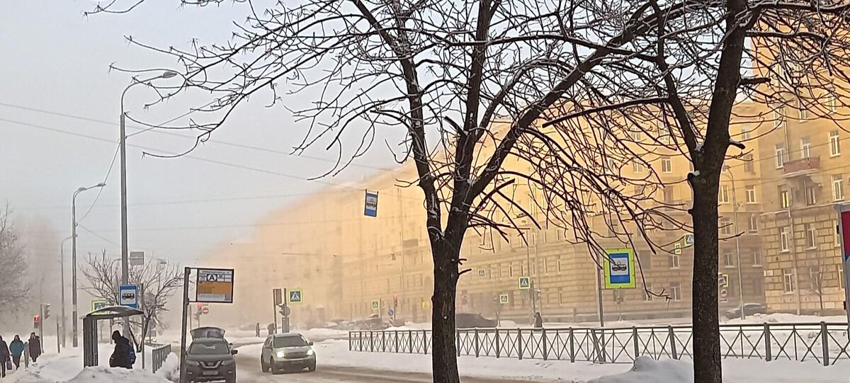 11 января 2022 туман - Елена Вишневская