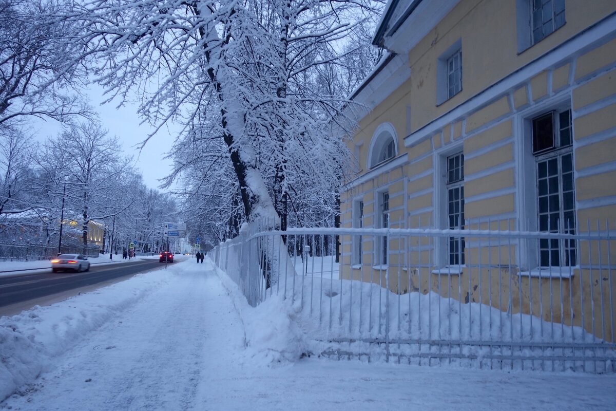 зима в Пушкине - Елена 