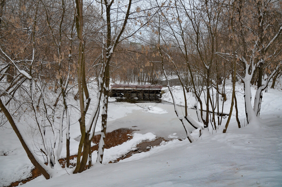 р. Городня - Oleg4618 Шутченко