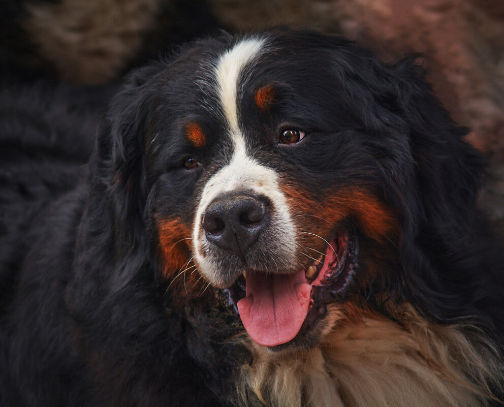 *** - Юрий Гординский