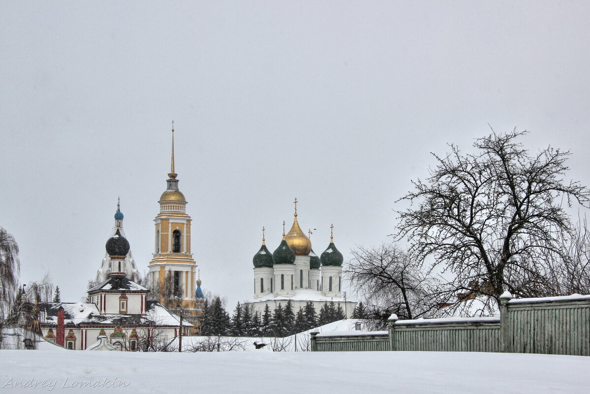 Ново-Голутвин монастырь - Andrey Lomakin