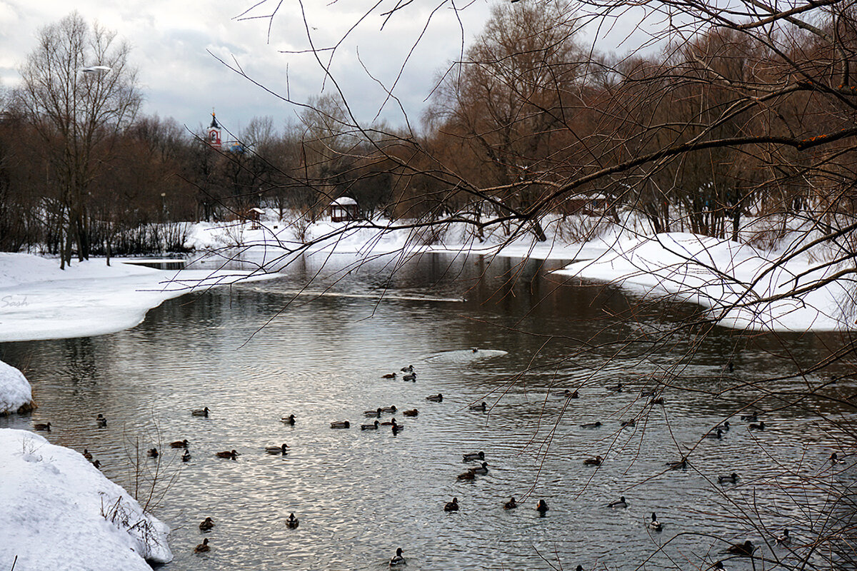 Речка Городня зимой (#2) - Alex Sash