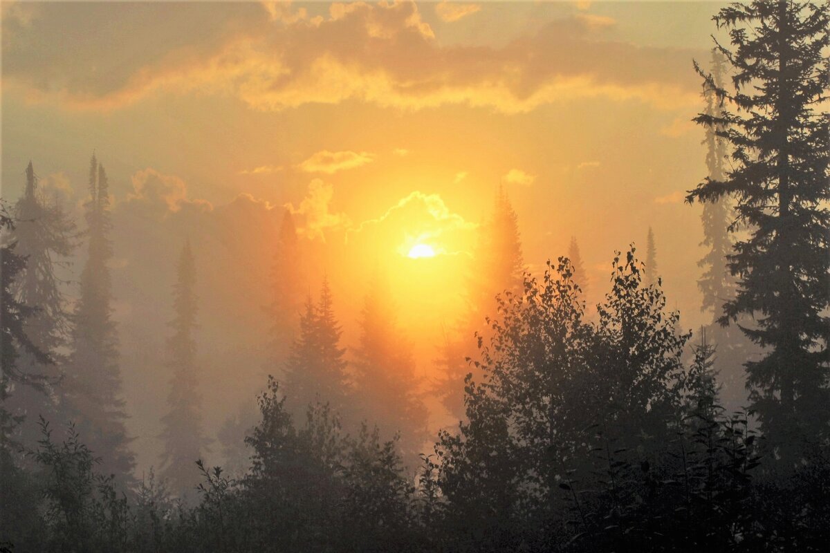 Восход с туманом - Сергей Чиняев 