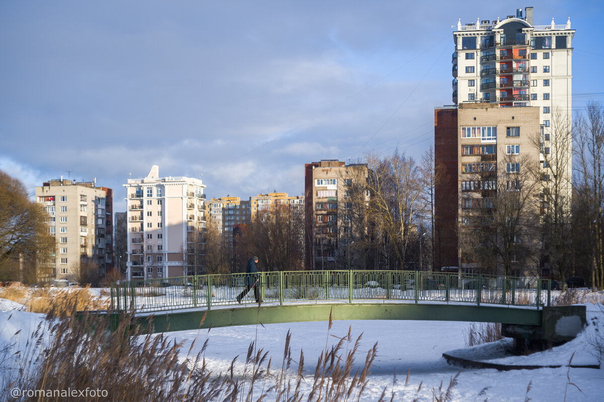 Городской пейзаж в парке Александрино - Роман Алексеев