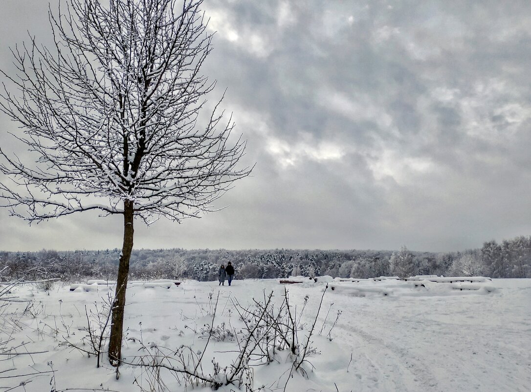 зимняя прогулка - Валентина. .