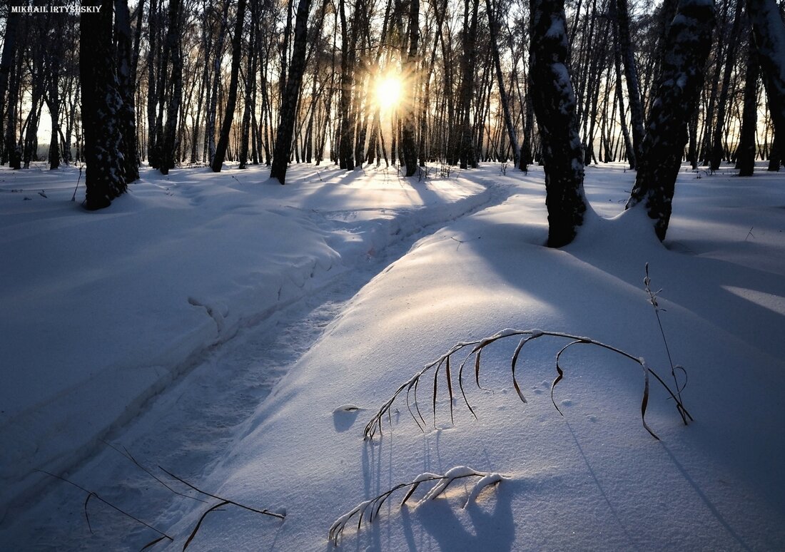 Вечер в зимнем лесу - Mikhail Irtyshskiy