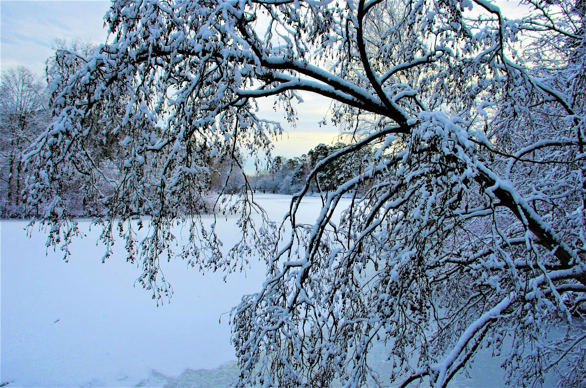 Зима – это время, когда ты ждешь лета, но в то же время безумно радуешься снегопаду:-) - Ольга Русанова (olg-rusanowa2010)