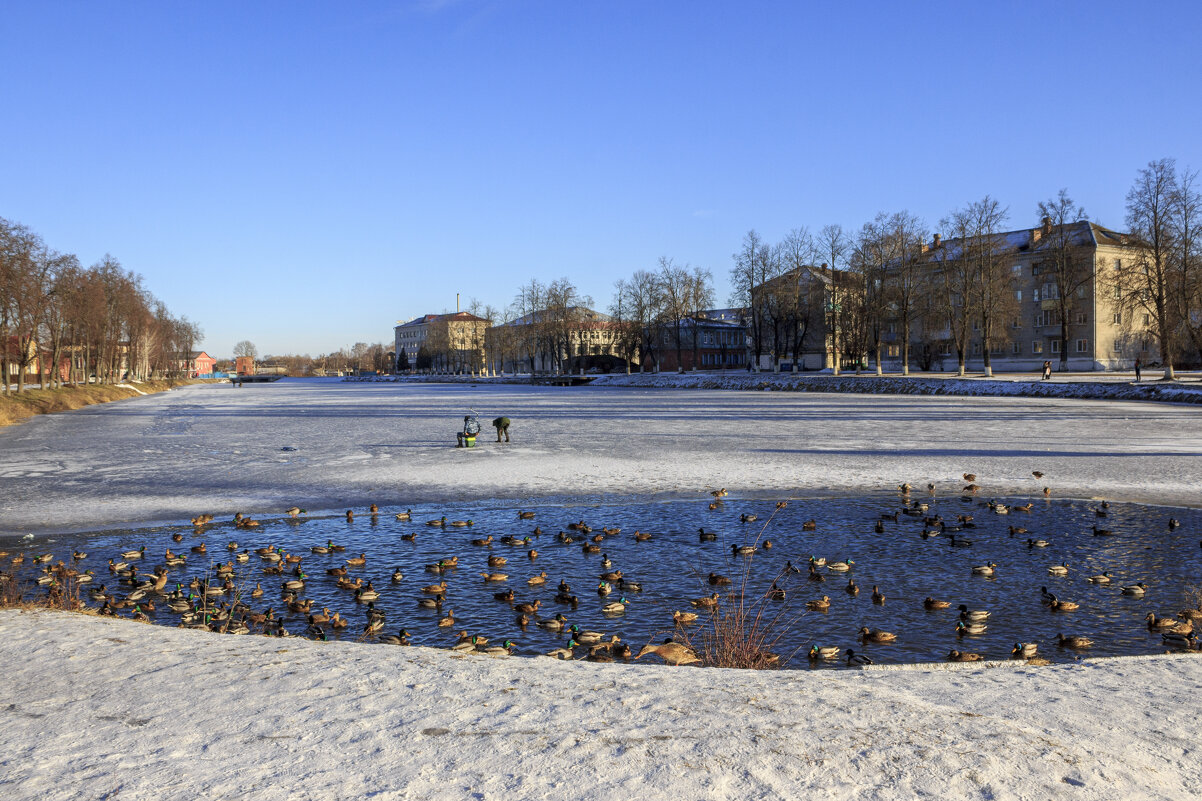 Зима на городском озере - оксана 