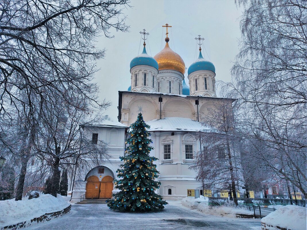 Новоспасский монастырь - Константин Анисимов