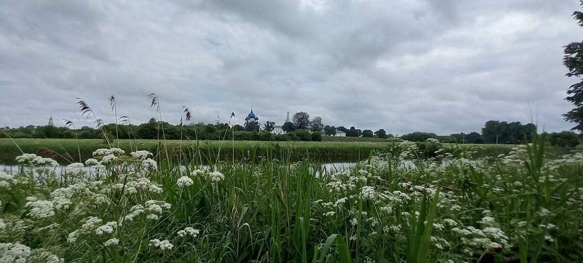 Там у души вырастают крылья. - Елена Вишневская