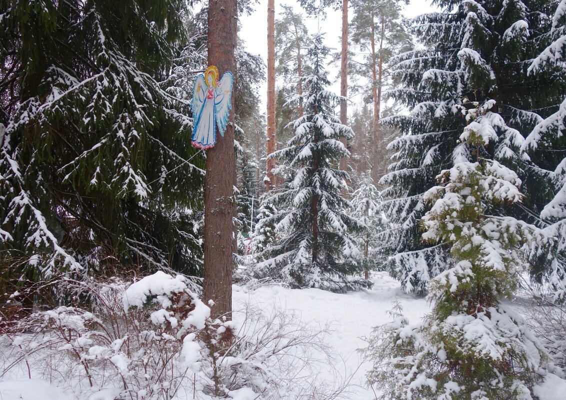 Ангел в лесу - Елена 