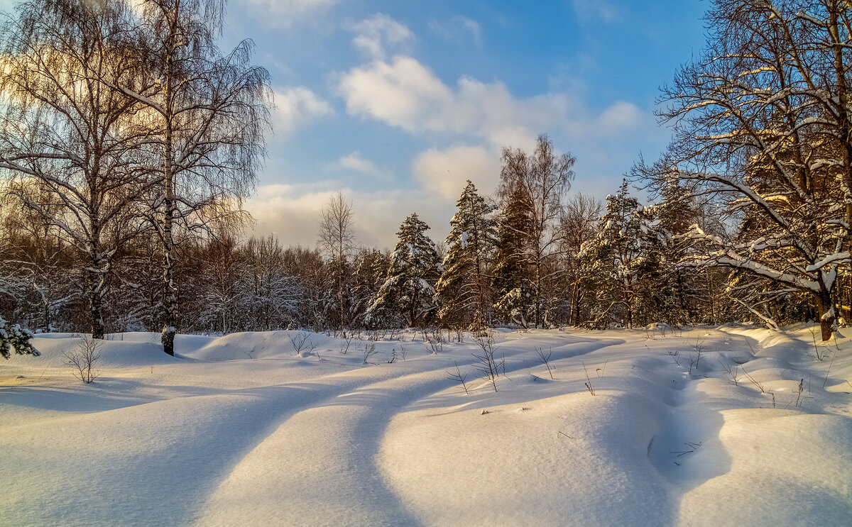 Морозное утро второго января # 05 - Андрей Дворников