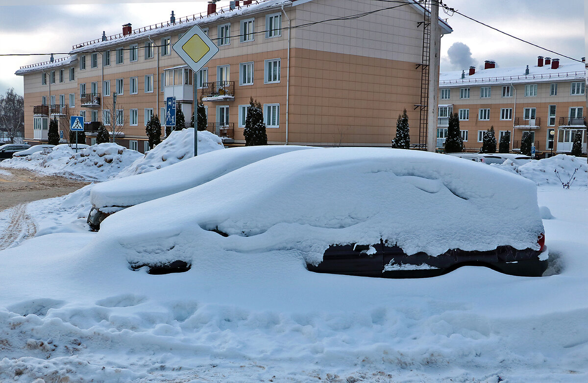 Снежный январь - Светлана 