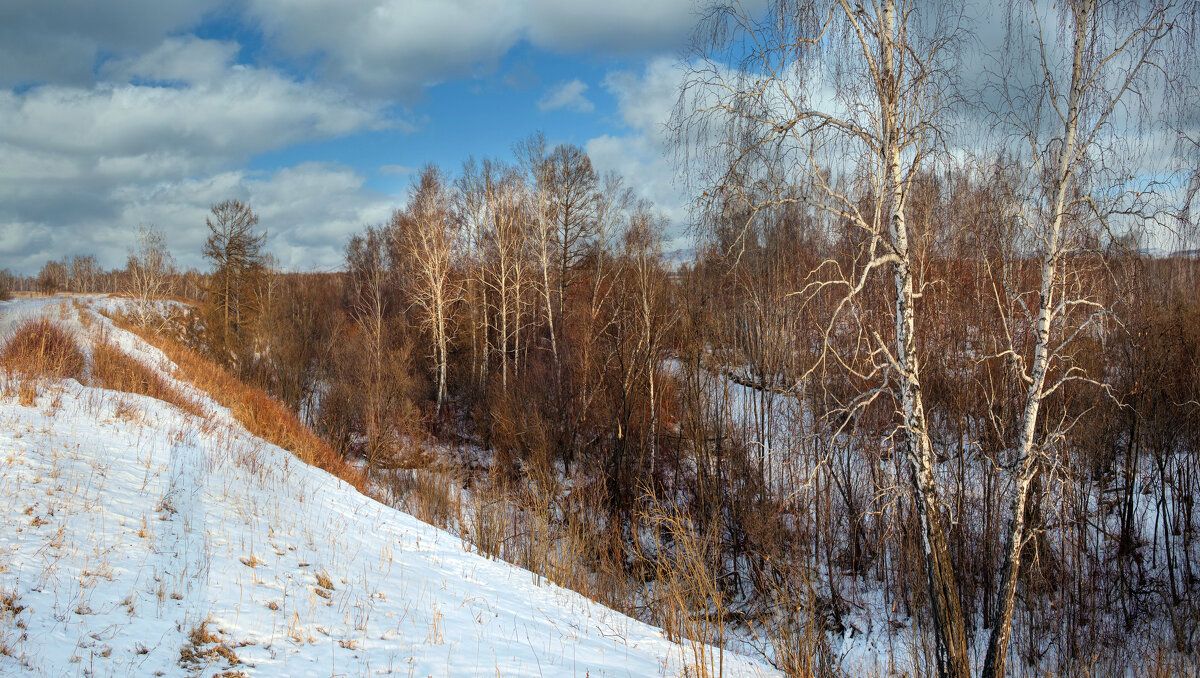 Зимняя панорама - Алексей Мезенцев