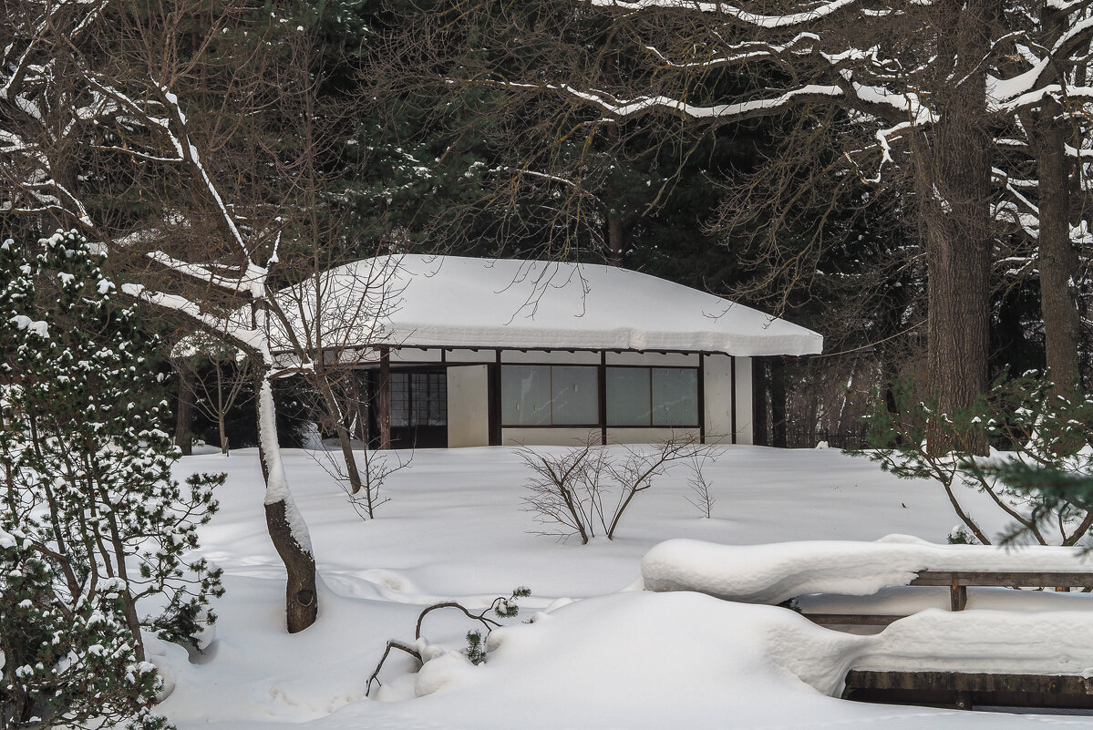 Зима в Японском Садике - юрий поляков